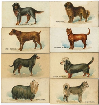 1890 N163 Goodwin "Dogs of the World" Near Set (46/50)